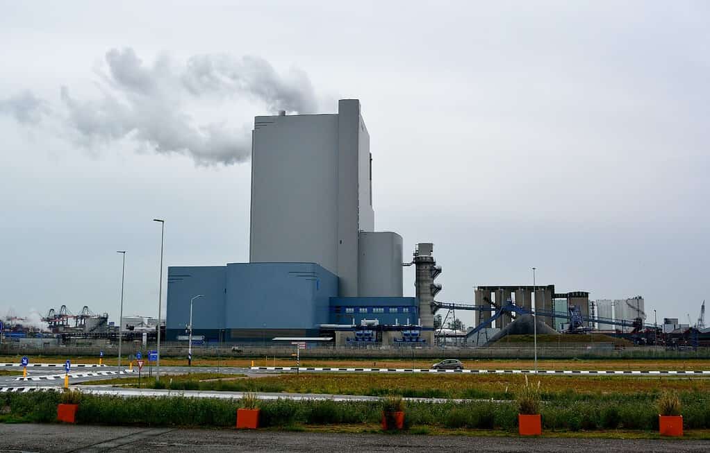 Markus Fotografie - Maasvlakte 2020